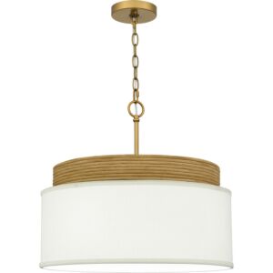 Quoizel Pendant 4-Light Pendant in Brushed Gold