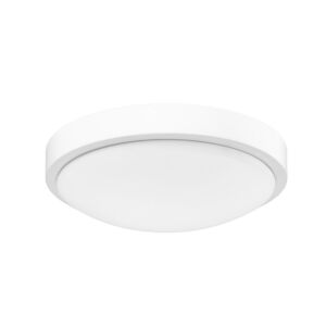 Gabi WHT 1-Light LED Flush Mount in Matte White