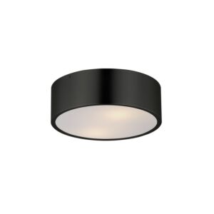 Tommy 2-Light Surface Mount in Black