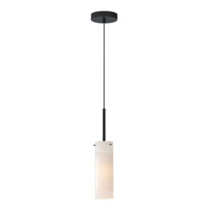 Blizzard 1-Light Pendant in Black