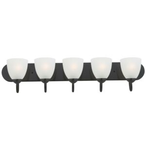 Axis 5-Light Bathroom Vanity Light in Black