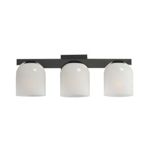 Scoop 3-Light Bathroom Vanity Light in Black