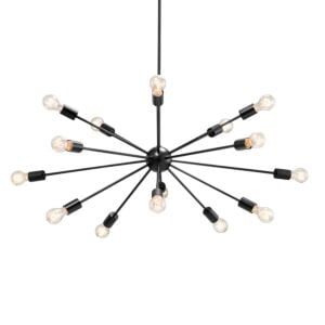 Axion 15-Light 1Chandelier in Matte Black