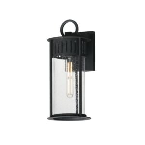 Windsor 1-Light Outdoor Wall Sconce in Black Patina