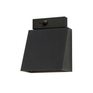 Pathfinder 1-Light LED Outdoor Wall Sconce in Black