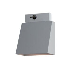 Pathfinder 1-Light LED Outdoor Wall Sconce in Silver