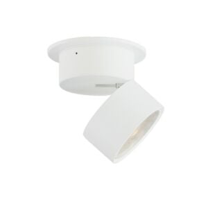 Swinger 1-Light LED Flush Mount in White