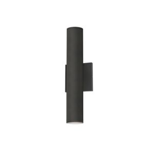 Calibro 2-Light LED Outdoor Wall Sconce in Architectural Bronze