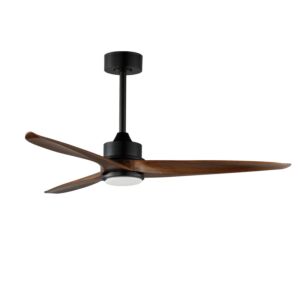 Woodwind 1-Light 52" Hanging Ceiling Fan in Black