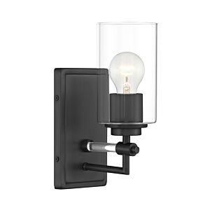 Binsly 1-Light Bathroom Vanity Light in Coal