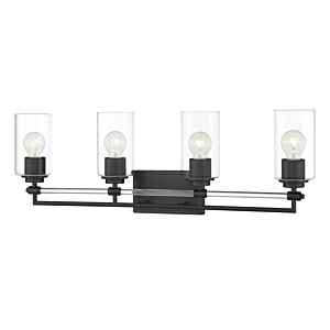 Binsly 4-Light Bathroom Vanity Light in Coal