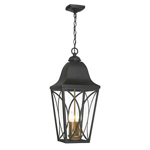 Cardigan 3-Light Outdoor Pendant in Sand Coal and Olden Brass