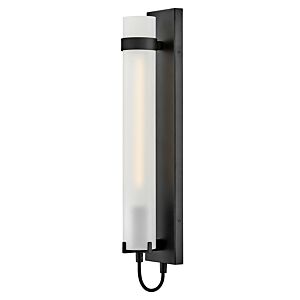 Ryden 1-Light LED Wall Sconce in Black