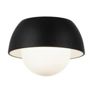 Watson 1-Light LED Wall Sconce