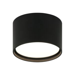 Caravon 1-Light LED Ceiling Mount in Matte Black