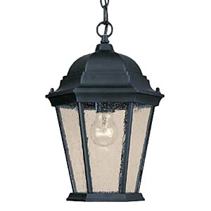 Richmond 1-Light Matte Black Hanging Light With Seeded Glass