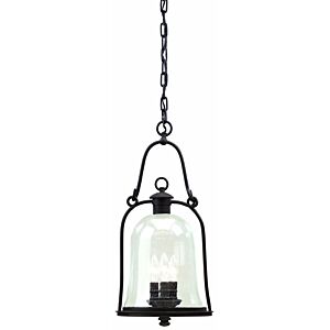 Owings Mill 3-Light Hanging Lantern in Textured Black