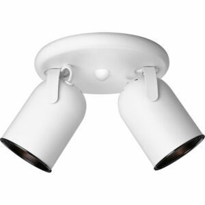 Directional 2-Light Wall with Ceiling Mount in White