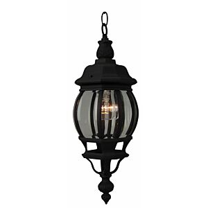 Craftmade French Style 19" Outdoor Hanging Light in Textured Matte Black