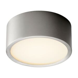 Peepers 1-Light LED Ceiling Mount in Satin Nickel