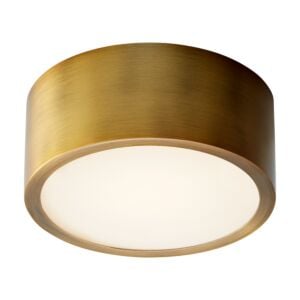 Peepers 1-Light LED Ceiling Mount in Aged Brass