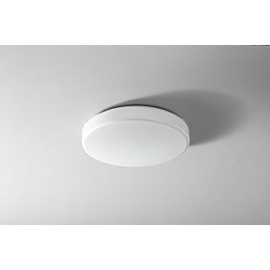 Rhythm 2-Light LED Ceiling Mount in White