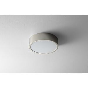 Peepers 1-Light LED Ceiling Mount in Polished Nickel