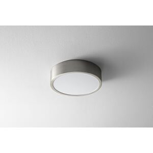 Peepers 1-Light LED Ceiling Mount in Satin Nickel