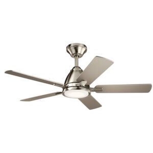 Arvada 1-Light 44" Ceiling Fan in Brushed Stainless Steel