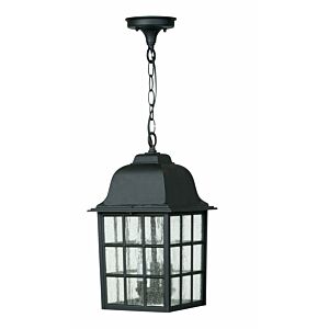 Craftmade Grid Cage 16" Outdoor Hanging Light in Textured Matte Black