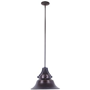 Craftmade Union 11" Outdoor Hanging Light in Oiled Bronze Gilded