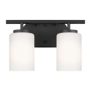 Oslo 2-Light Wall with Bathroom Vanity Lightroom Vanity Light in Midnight Black