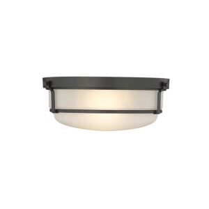 Millennium Lighting Arlson 2-Light Flushmount Ceiling Light In Matte Black