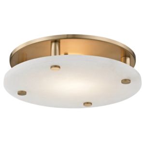 Croton LED Ceiling Light