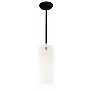 Essex 1-Light Mini-Pendant in Graphite