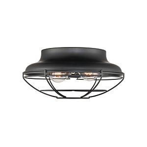 Millennium 2 Light Outdoor Ceiling Light in Matte Black