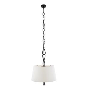 Parkman 2-Light Pendant in Blackened Iron