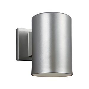 Outdoor Cylinders 1-Light Outdoor Wall Lantern in Painted Brushed Nickel