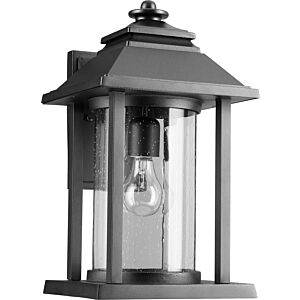 Crusoe 1-Light Outdoor Lantern in Textured Black