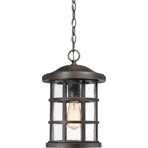 Crusade 1-Light Outdoor Hanging Lantern in Palladian Bronze