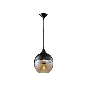 Robertson Blvd. 1-Light Pendant in Black