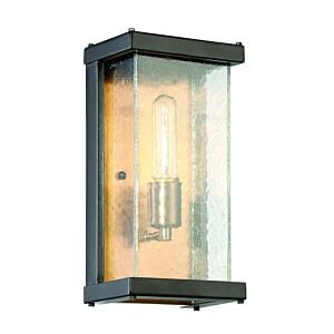 Craftmade Farnsworth 12" Outdoor Wall Light in Midnight with Patina Aged Brass