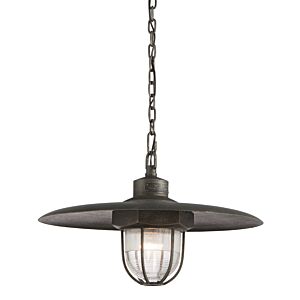 Acme 1-Light Pendant in Aged Pewter