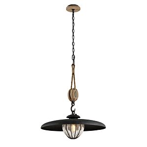 Murphy 1-Light Pendant in Forged Iron