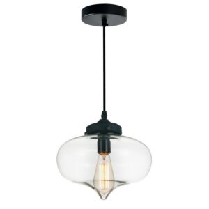 Glass 1-Light Mini Pendant in Black