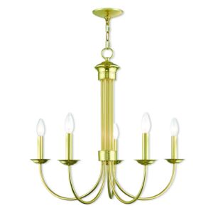 Estate 5-Light Chandelier in Polished Brass