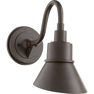 Torrey 1-Light Outdoor Lantern in Oiled Bronze