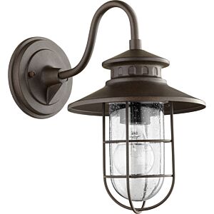 Moriarty 1-Light Outdoor Lantern in Oiled Bronze