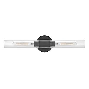 Shea 2-Light LED Bathroom Vanity Light in Black