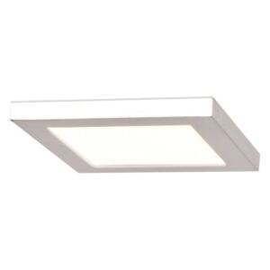 Boxer 1-Light LED Flush Mount in White